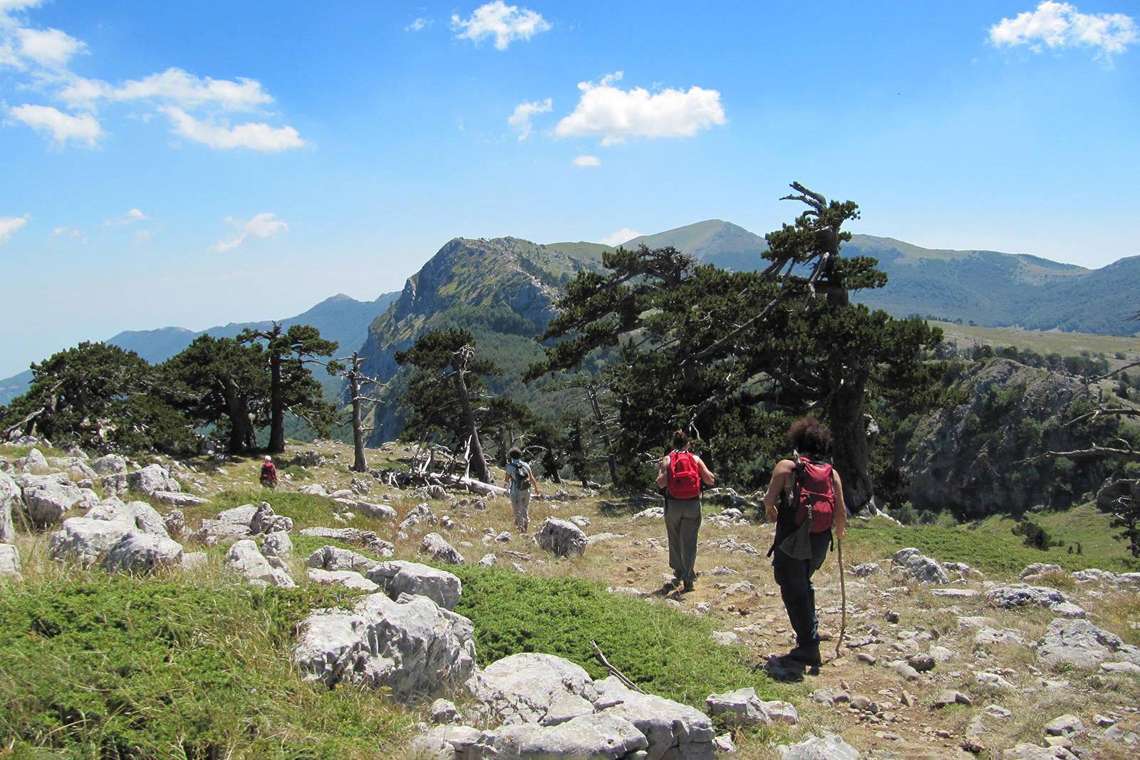 parco nazionale del pollino